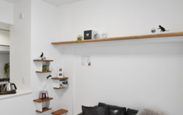 キャットステップ・キャットウォーク